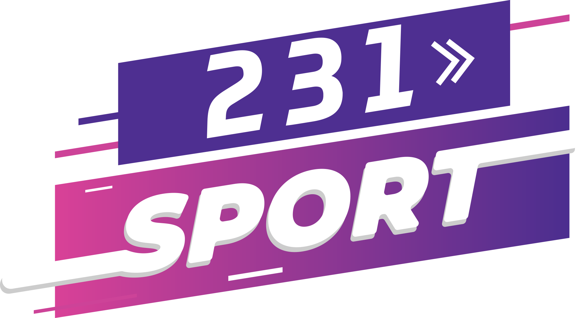 Logo 231sport